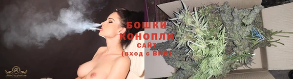 соль ск Бронницы