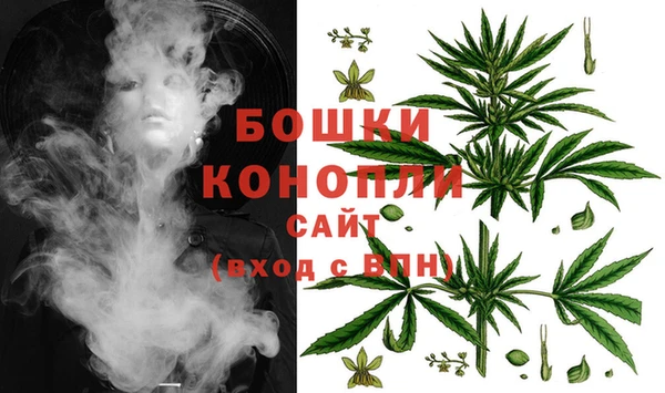 ГАЛЛЮЦИНОГЕННЫЕ ГРИБЫ Бугульма