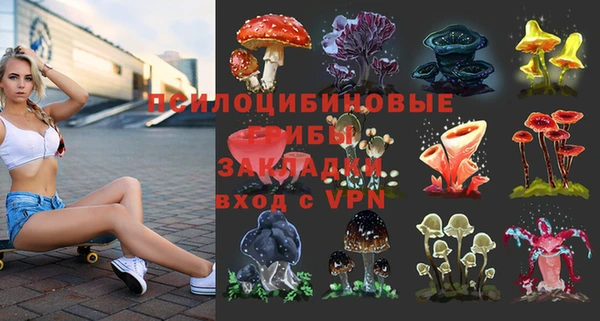 соль ск Бронницы