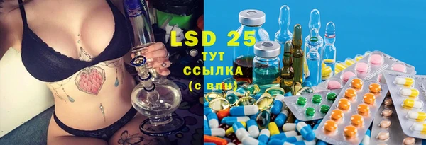 ГАЛЛЮЦИНОГЕННЫЕ ГРИБЫ Бугульма