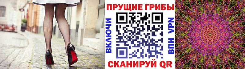 Псилоцибиновые грибы GOLDEN TEACHER  Купить  Данков 