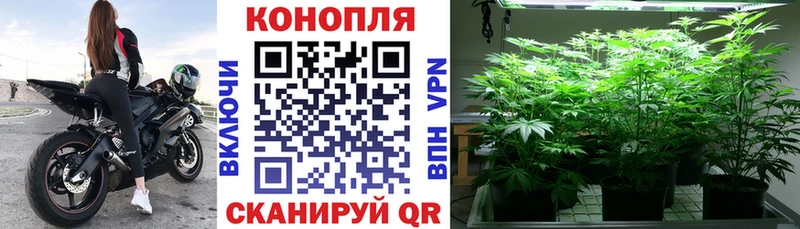 Канабис гибрид  Купить где  Данков 